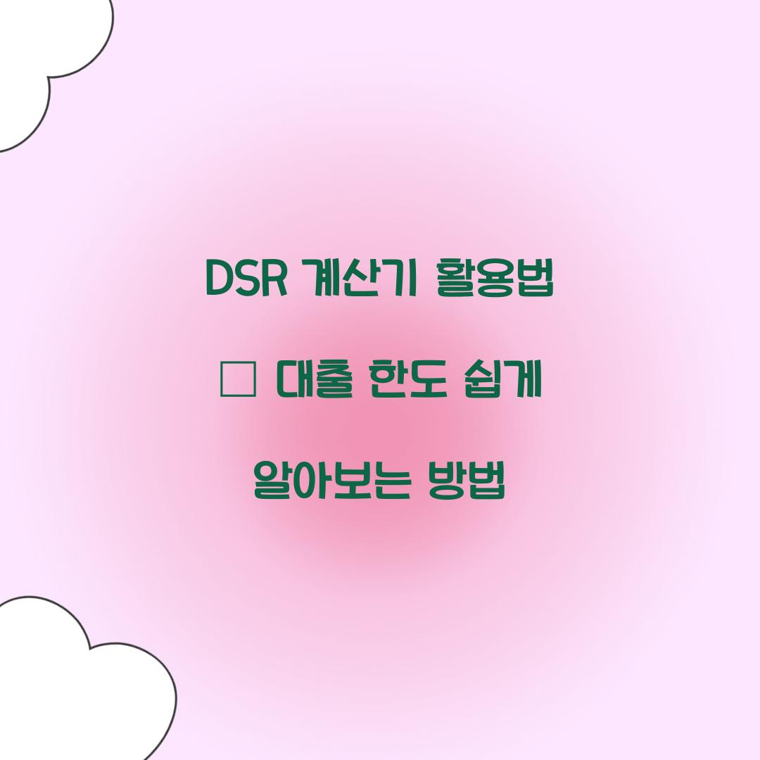 DSR 계산기
