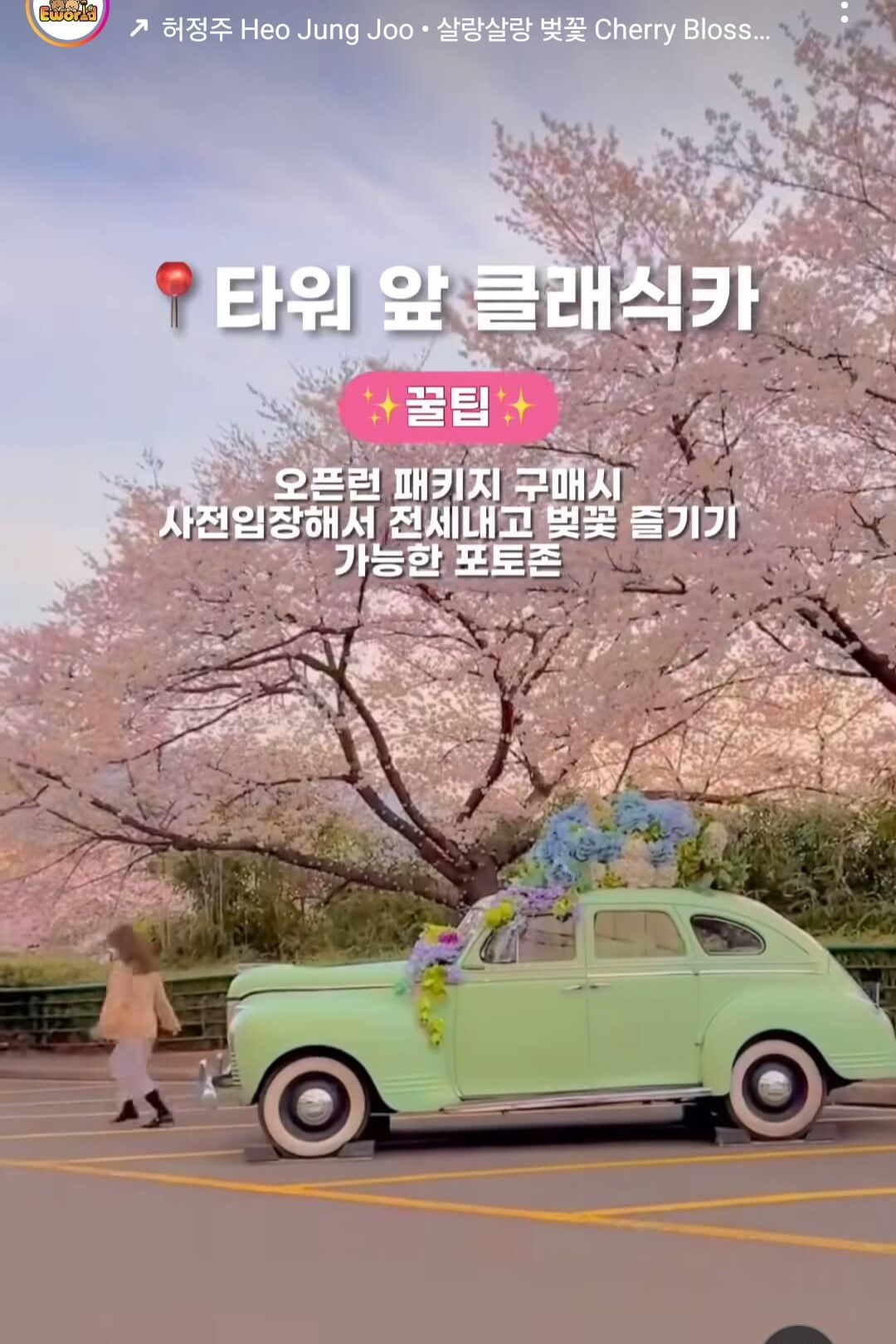 이월드 블라썸 