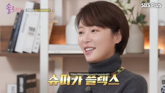 황정음사진