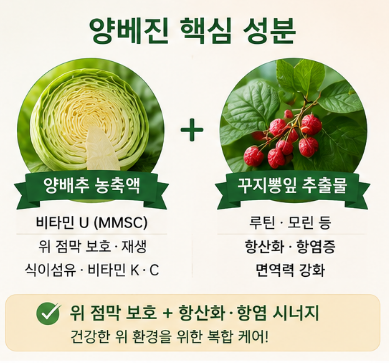 양베진-효능-내돈내산-후기-성분-가격-섭취방법