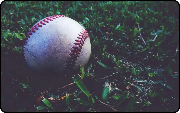 2024 WBSC 프리미어12 결과 한국 야구 탈락 확정