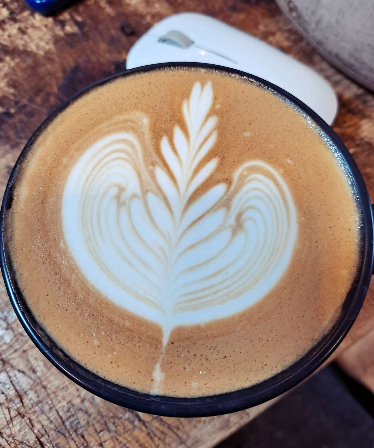 로제타2 라떼아트