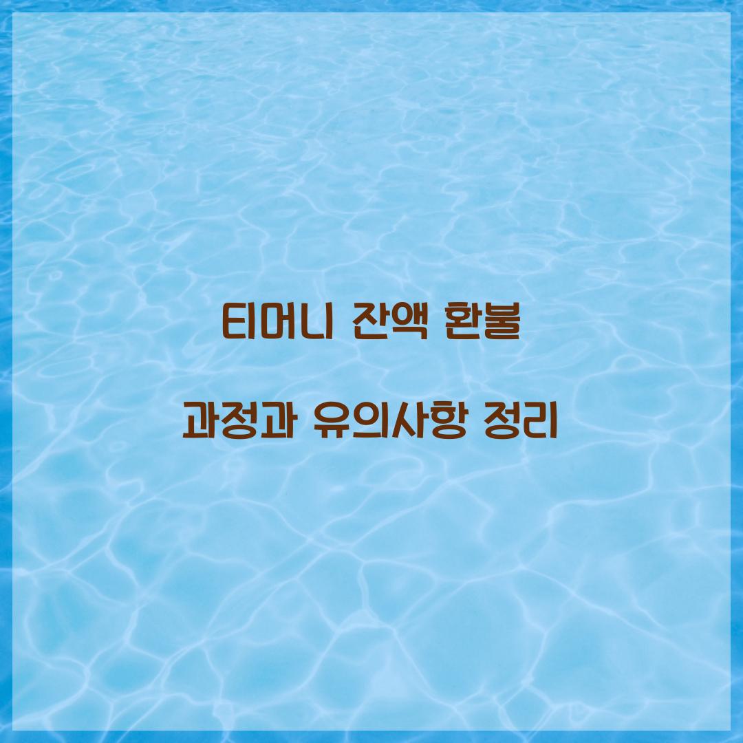 티머니 잔액 환불