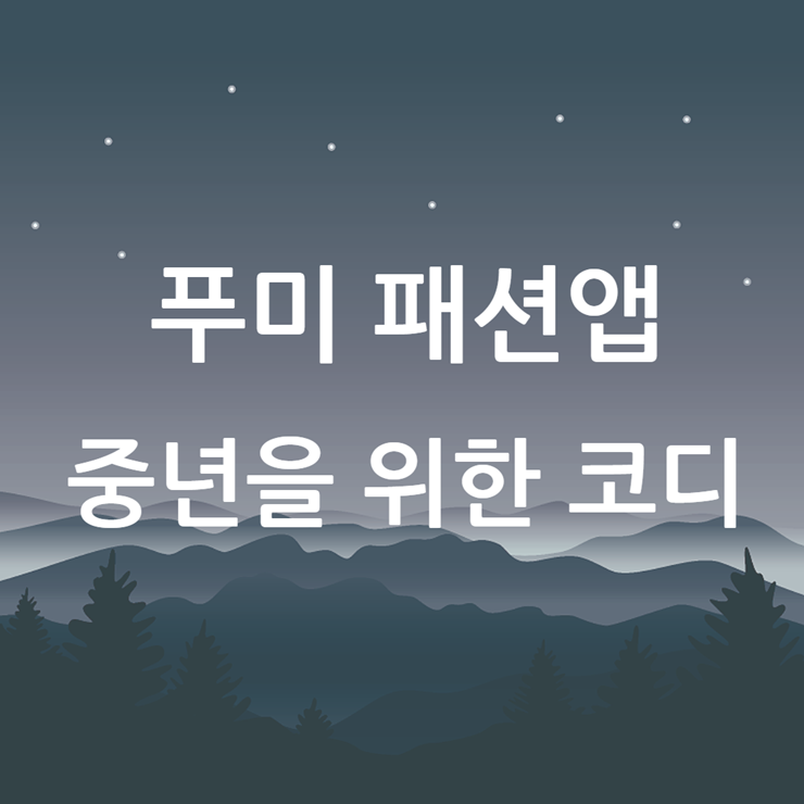 중년 패션앱