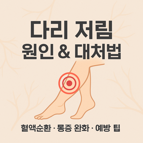 다리 저림 원인과 대처법 썸네일 이미지