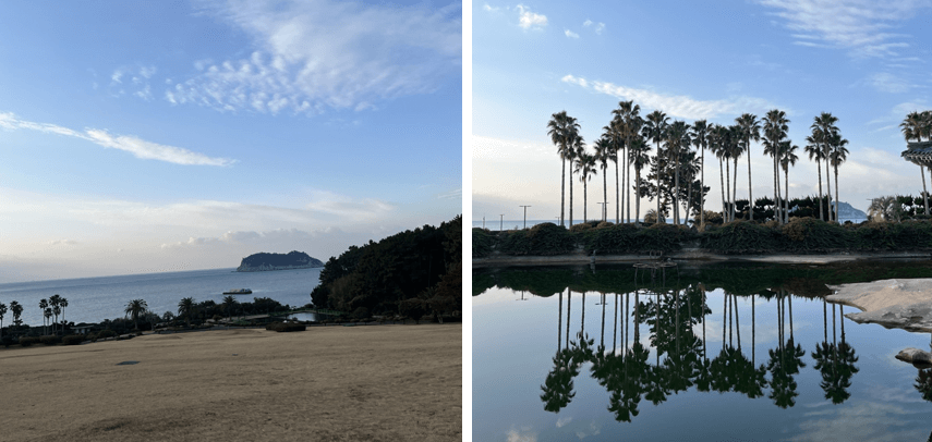 야자수-나무-길-및-들판