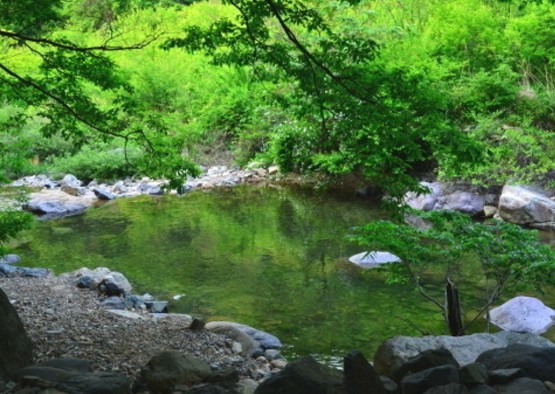 경남 여행지 추천 ❘ 양산 가볼만한 곳 베스트 10. 원동자연휴양림