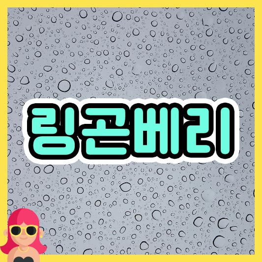 섬네일 링곤베리