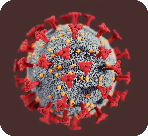 백일해 증상 및 치료 (+격리기간)