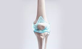 서리태 검정콩 효능 5가지