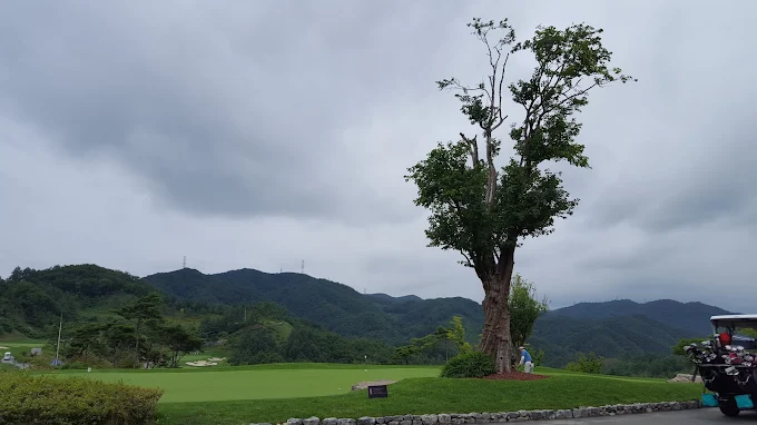 춘천 '더 플레이어스 CC' 소개 및 예약방법