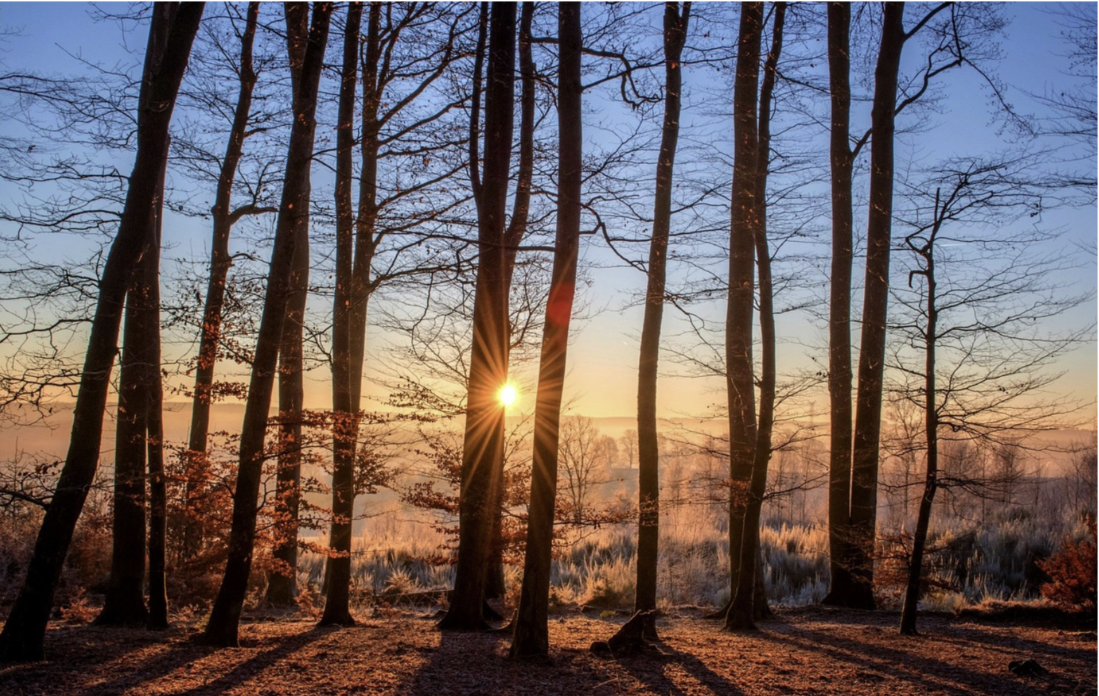 코스피와 한국 주식시장의 이해
