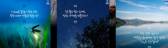 무주 반딧불 축제