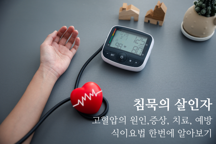침묵의 살인자, 고혈압 원인 증상 치료 예방 식이요법 한번에 알아보기