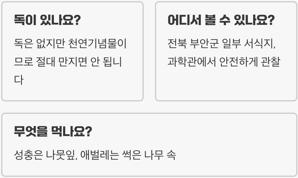 비단벌레 이름의 유래, 왜 '비단'이라는 이름이 붙었을까?