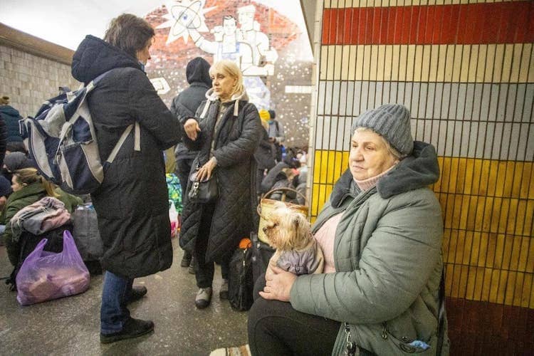 강아지와 탈출하는 우크라이나인들 VIDEO: Heartbreaking Photos Show Ukrainians Fleeing Their Country With Their Beloved Pets