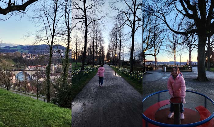 베른 장미공원 Rose Garden