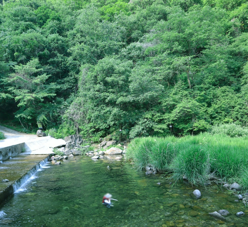 경기도 계곡 추천 가평 용추계곡