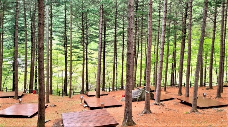 덕유산 자연휴양림