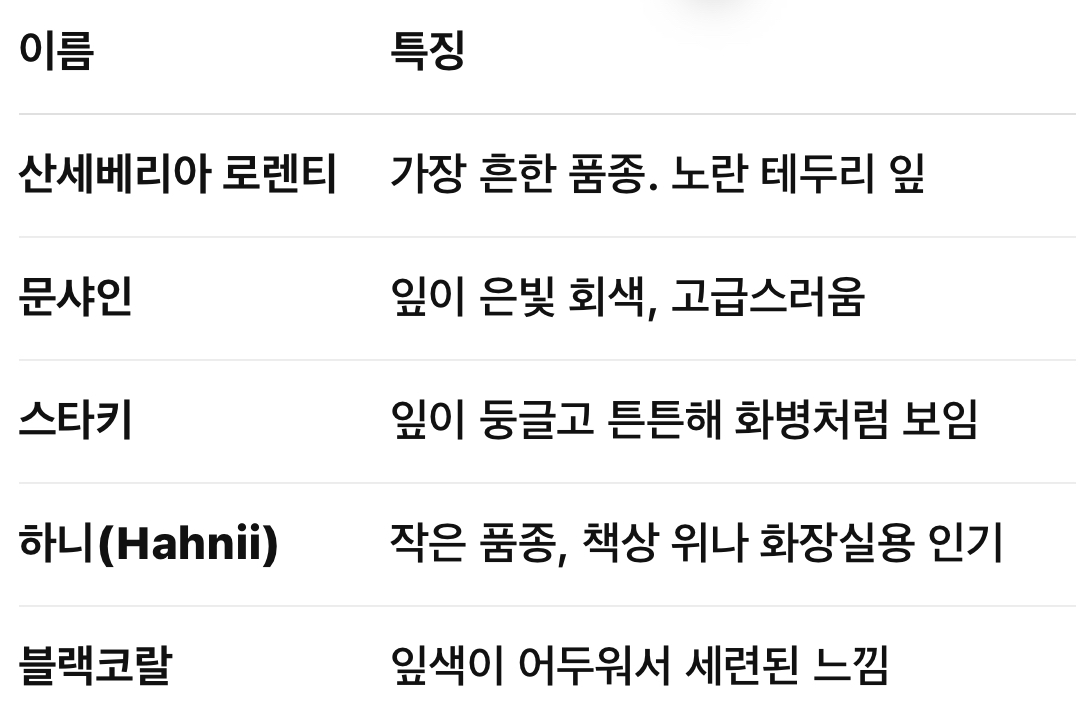 산세베리아의 다양한 종류