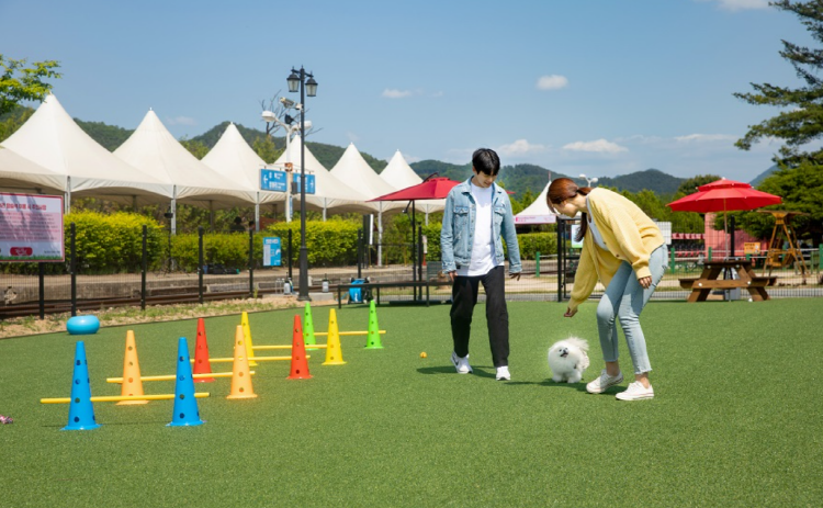 경강 레일바이크 경강역