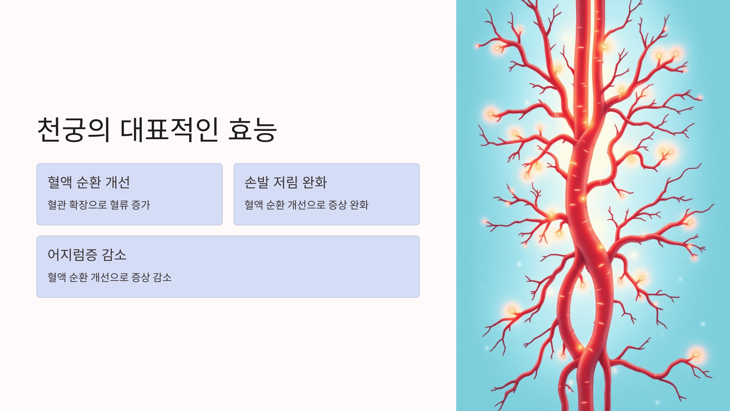 천궁 사진입니다.