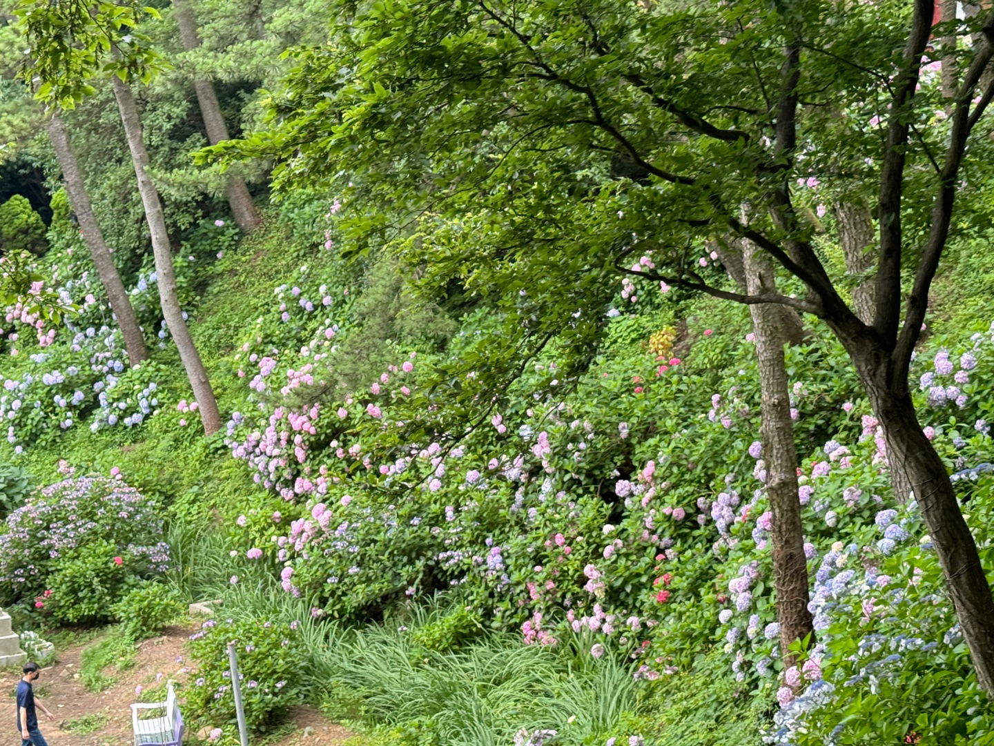 태종사