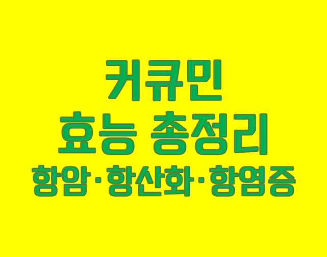 「커큐민 효능 총정리」 항암·항산화·항염증의 효과!