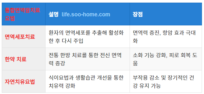 통합면역암치료: 면역력 강화와 부작용 완화