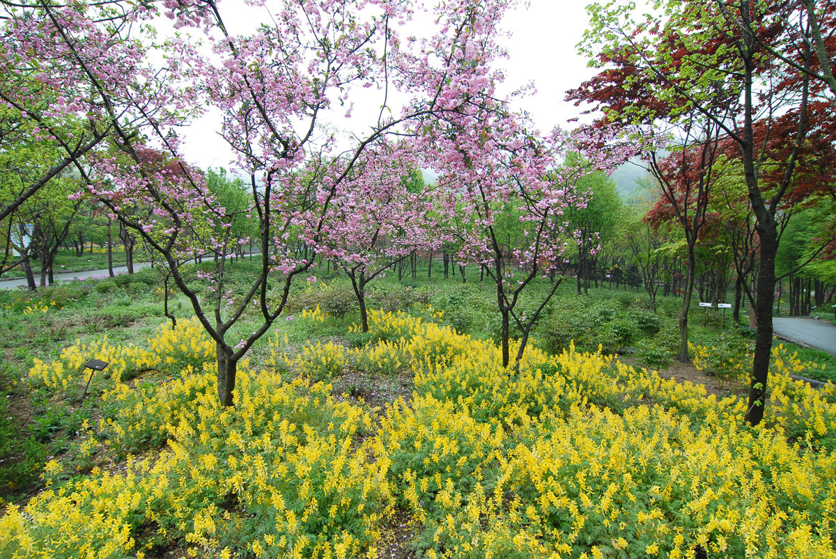 용인 한택식물원