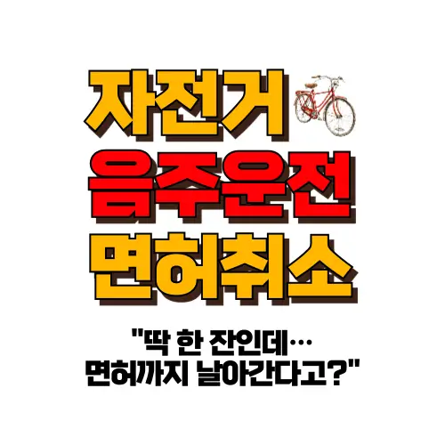 자전거 음주운전 면허취소
