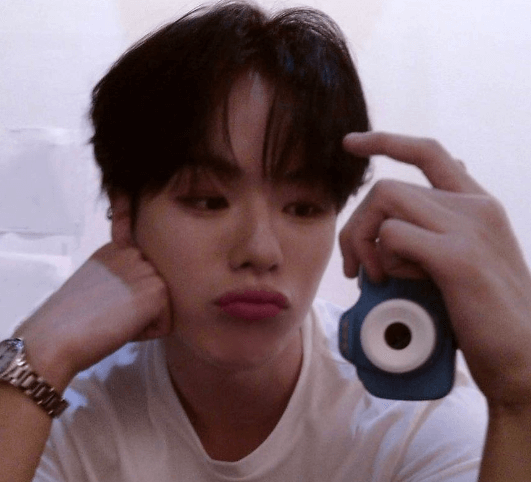 트레저 독도 논란