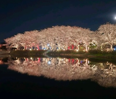 생생정보 택시맛객 오백 년 역사의 숨결 따라 떠나는 당진 여행 기지시줄다리기축제·골정저수지·민영이네횟집