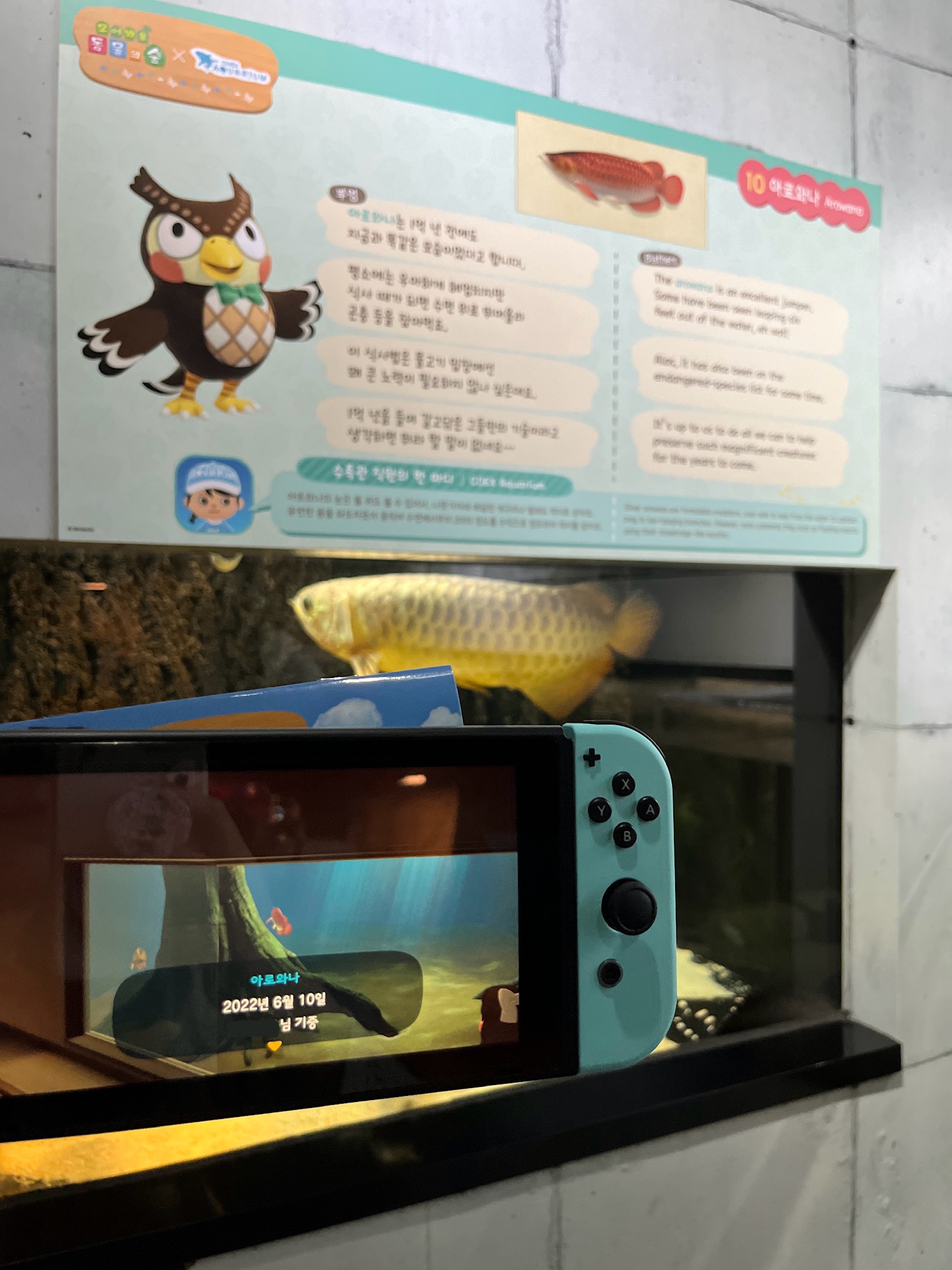 코엑스 아쿠아리움 동물의숲