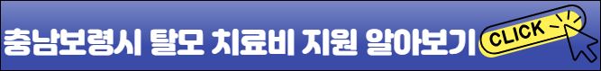 보령시 탈모치료비 신청바로가기