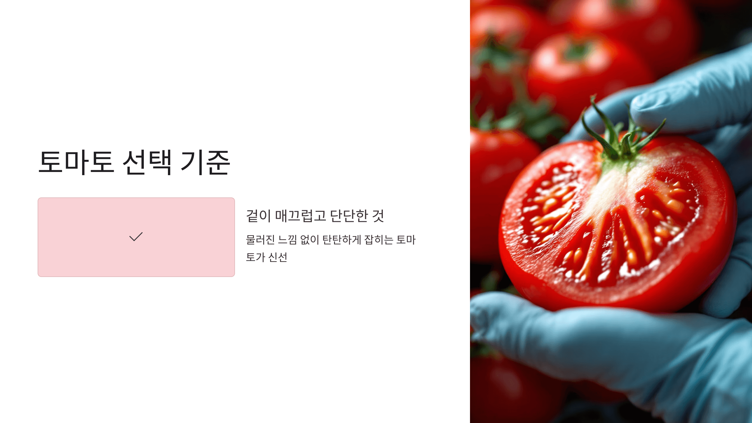 토마토 사진입니다.