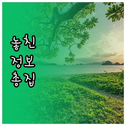 정리 초보도 성공! 자취방 비우고 수..