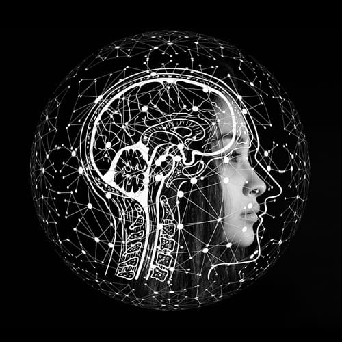 사람의 옆 모습과 두뇌 일러스트