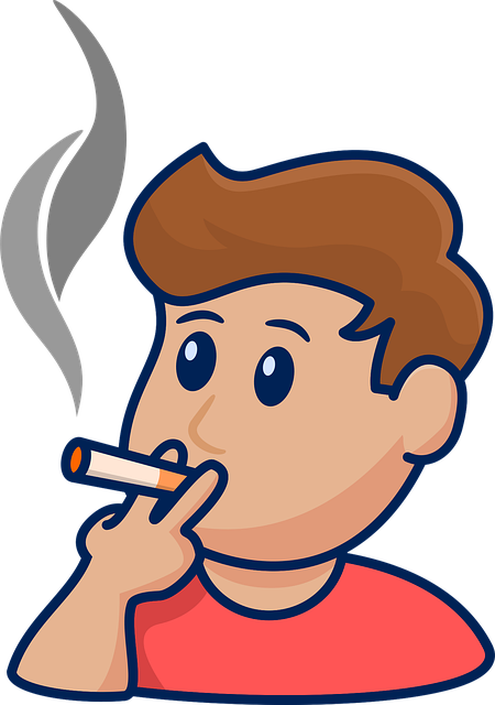 담뱃값 1만원으로 인상설의 진실은