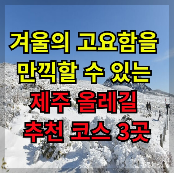 겨울의 고요함을 만끽할 수 있는 제주 올레길 추천 코스 3곳