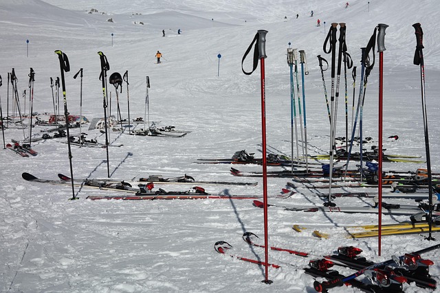 2026 스키장 개장일