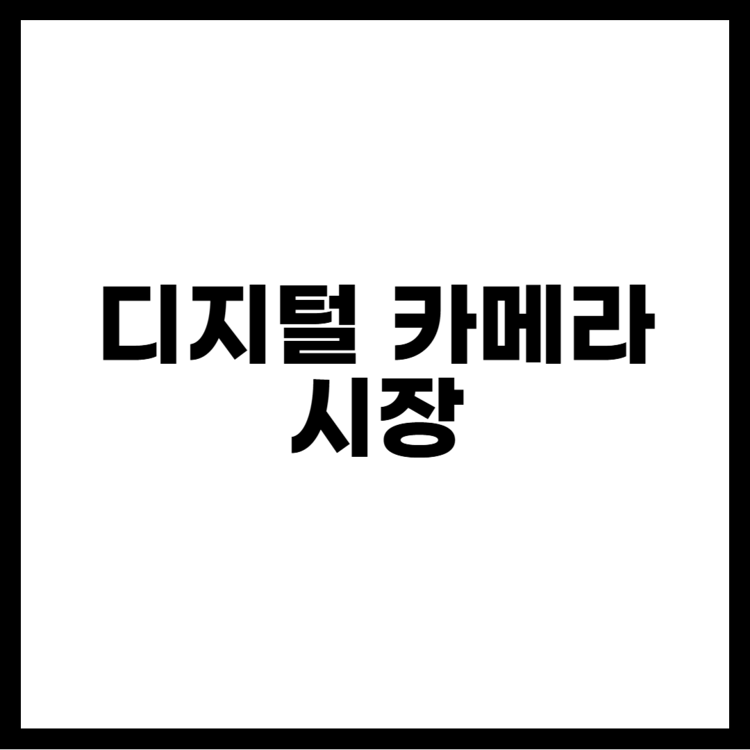 디지털 카메라 시장