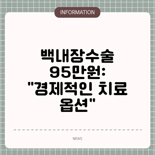 백내장수술 95만원: 