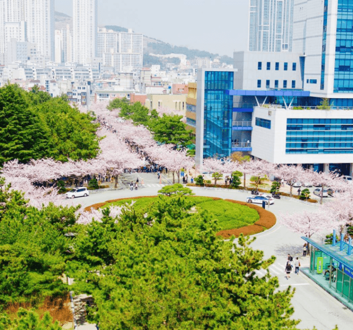 위에서 본 부경대학교 모습