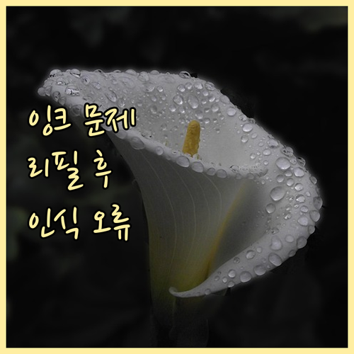 프린터 잉크 문제 해결! 리필 후 인