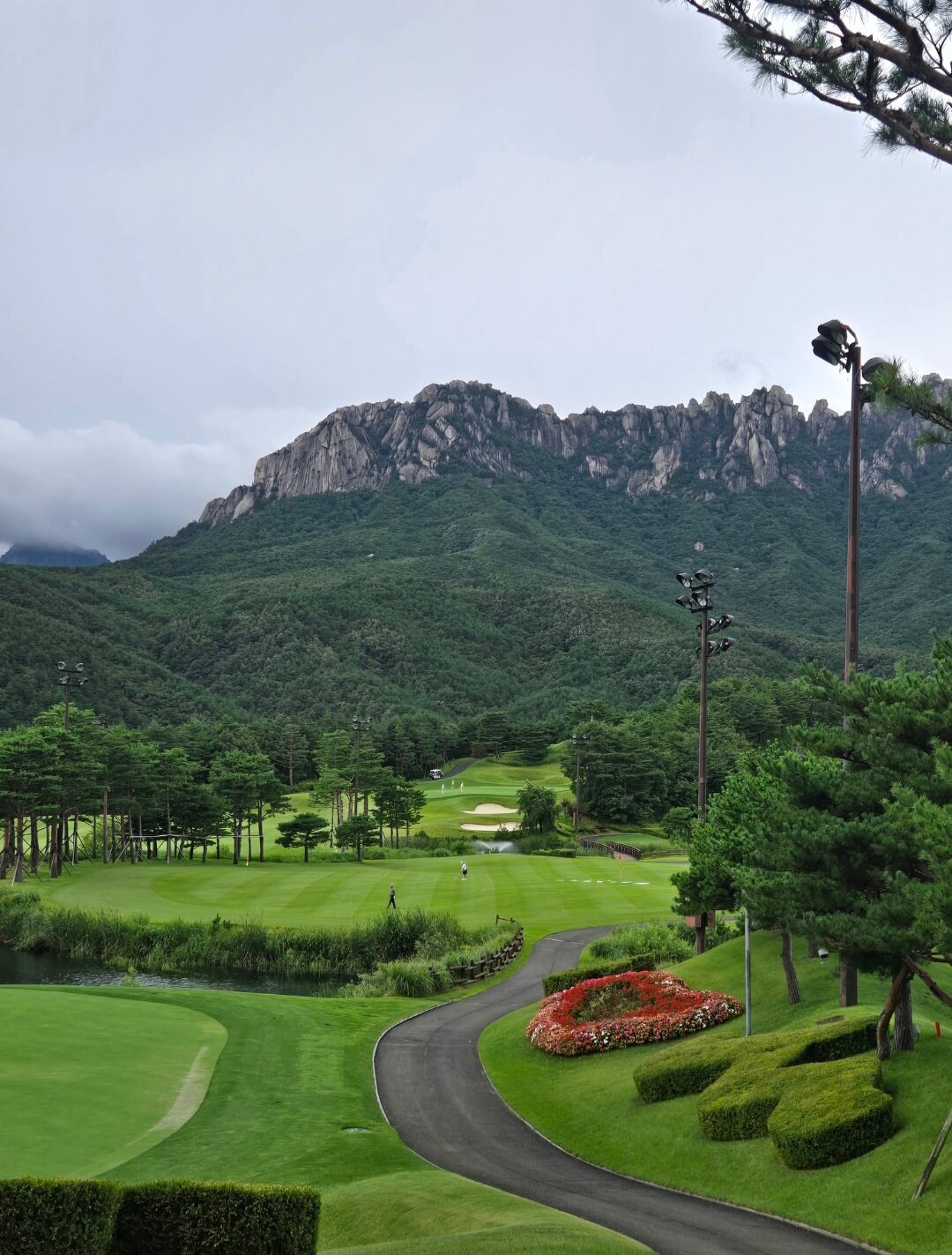 스타트하우스에서 내려다본 델피노CC 코스전경