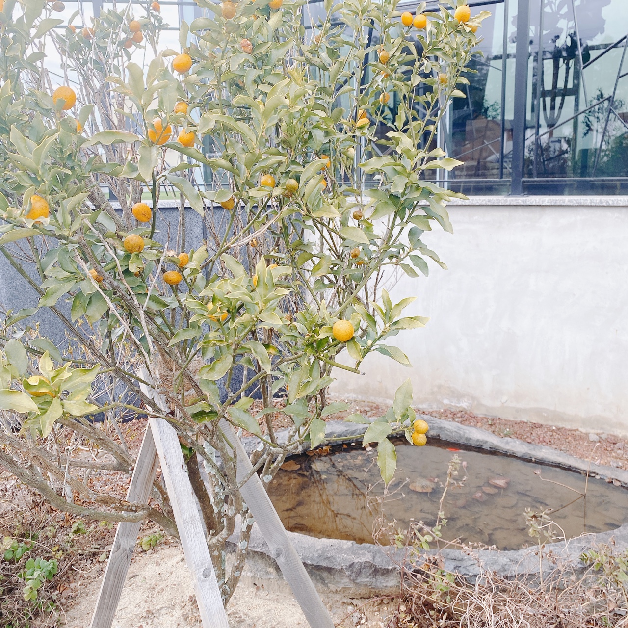 제주 애월 라라카페