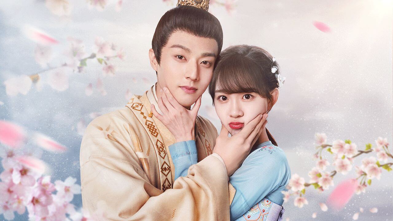 비처럼 내려온 나의 신사