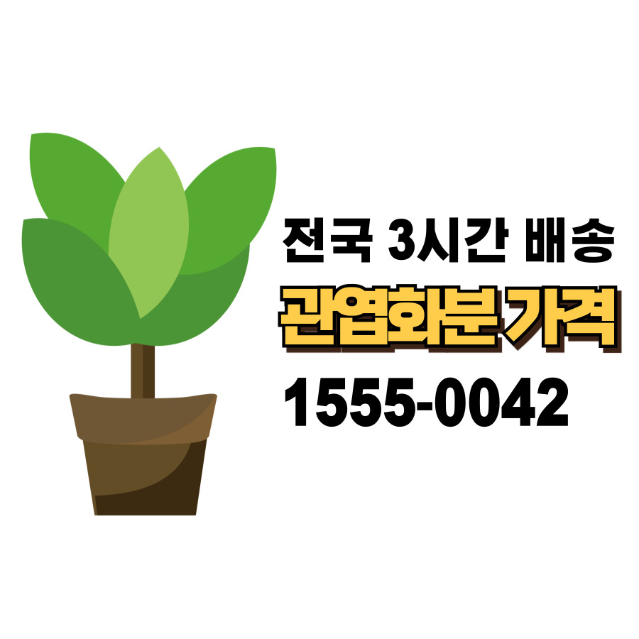 개업화분