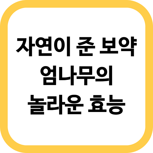 엄나무 효능